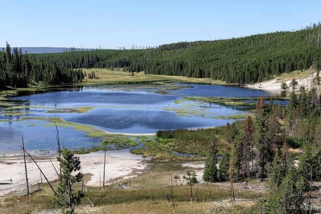 Nymph Lake in Yellowstone National Park, Wyo., is fed in part by Nymph Creek. There are many hot spots around this body of water. White silica dusts the perimeter.