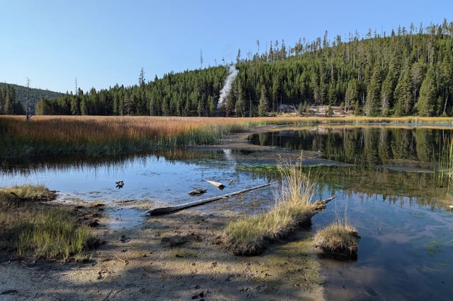 Looking south from near a pullout along the Mammoth to Norris road just north of the Nymph Lake overlook on Sept. 1, 2024, in Yellowstone National Park, Wyo. On the other side of the marsh is a tree-covered rhyolite lava flow, and at the base of the flow is a new thermal feature that formed in early August 2024, marked by a plume of steam.