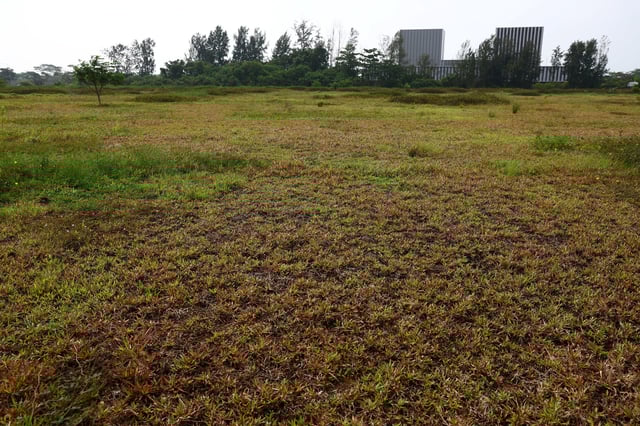 A view of a vacant plot of land at 6 Marina Green in Singapore March 25, 2025. REUTERS/Edgar Su