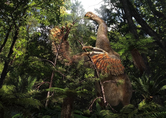 An illustration of what Duonychus tsogtbaatari may have looked like in life, using its huge claws to grasp tree branches.