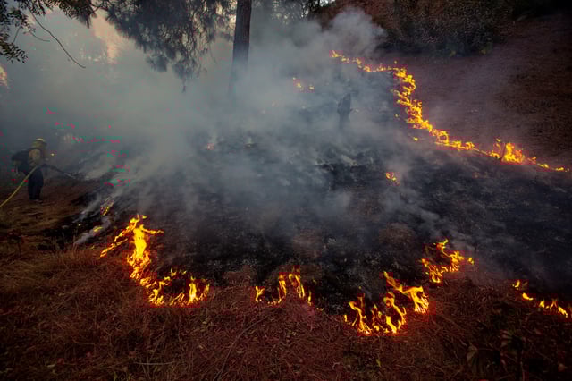 A firefighter battles the Palisades Fire in a neighborhood in Los Angeles, California, U.S., January 11, 2025. REUTERS/Ringo Chiu/File Photo