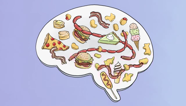 A steady diet of high-fat foods leads to reduced pleasure in eating, likely contributing to obesity. UC Berkeley scientists have discovered why, opening up new possibilities for treating obesity — not by fighting desire, but by restoring desire in a healthier way.