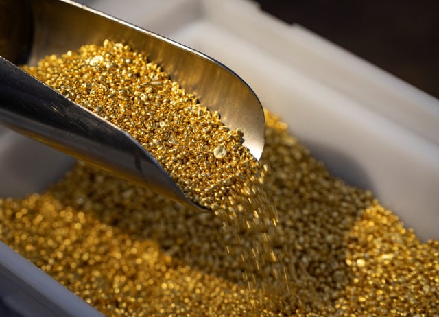 An employee takes granules of 99.99 percent pure gold in a workroom during production at Krastsvetmet precious metals plant in the Siberian city of Krasnoyarsk, Russia, May 23, 2024.  REUTERS/Alexander Manzyuk/File Photo
