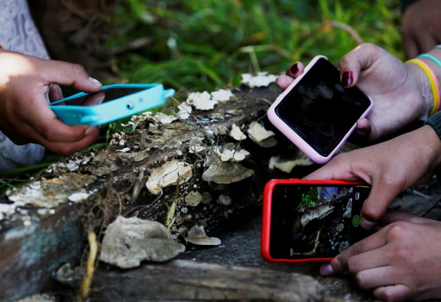 Students take photographs of mushrooms in Cota Cota, La Paz, Bolivia, April 29, 2019. An app challenge has inspired La Paz residents to document biodiversity. REUTERS/David Mercado/File Photo