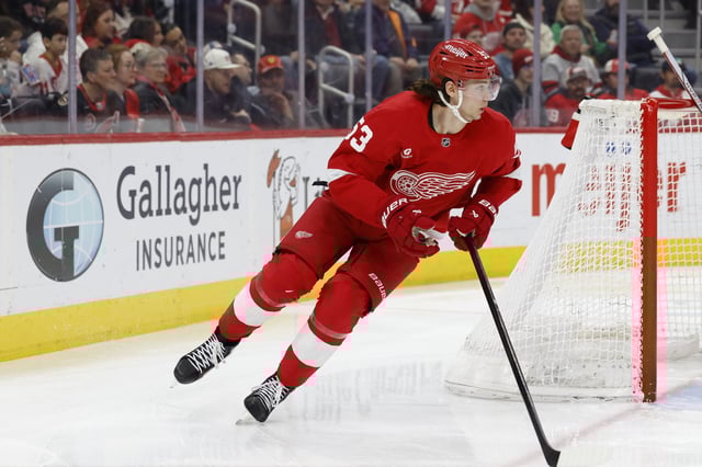Mar 27, 2025; Detroit, Michigan, USA;  Detroit Red Wings defenseman Moritz Seider (53) skates with the puck in the third period against the Ottawa Senators at Little Caesars Arena. Mandatory Credit: Rick Osentoski-Imagn Images