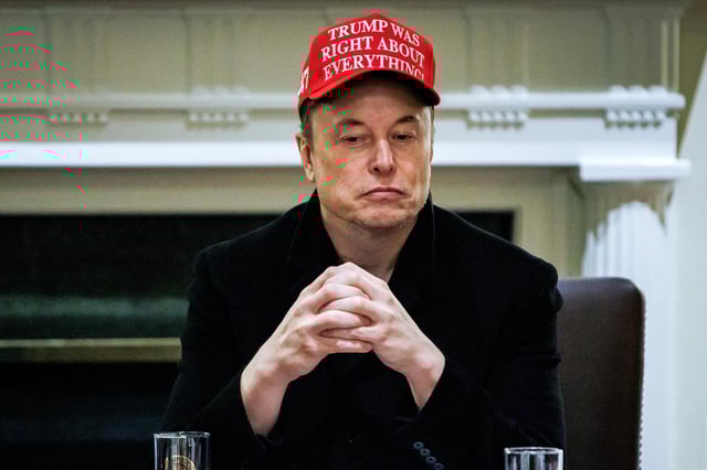 Elon Musk during a Cabinet meeting at the White House in Washington, DC, on March 24, 2025.