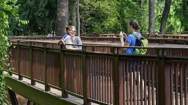 The elevated pathway allows visitors to walk through lush trees, offering them a rare opportunity to engage with Nature from a unique perspective. (Anshuman Poyrekar/ Hindustan Times)