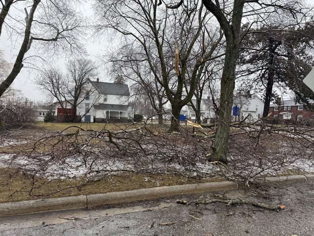 In this photo provided by Jesika Fox, an ice storm knocked down trees and power lines on Sunday, March 30, 2025, in Alpena, Mich. (Jesika Fox via AP)