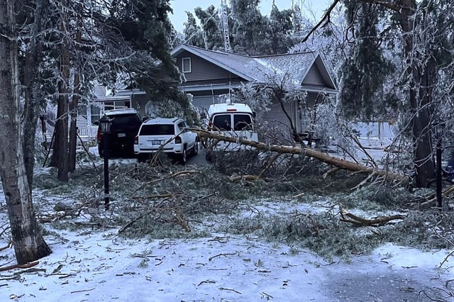 In this photo provided by Interlochen Public Radio, freezing rain brought down trees at a home near Petoskey, Michigan Sunday.