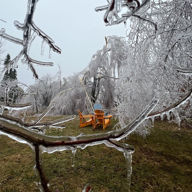 Ice covered trees branches are shown in Meaford, Ontario on Sunday March 30, 2025. More than 200,000 Ontarians are without power as this weekend's ice storm moves east, threatening parts of New Brunswick and Prince Edward Island.
THE CANADIAN PRESS/HO-Becky Holvik
*MANDATORY CREDIT *