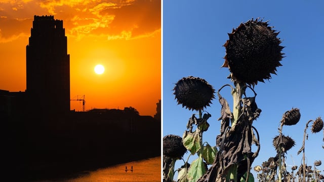 Nach einem ungewöhnlich trockenen Februar und einem fast rekordverdächtigen März setzt sich die Trockenheit wahrscheinlich im April fort. Wetterexperten sind zunehmend besorgt. Dominik Jung, Diplom-Meteorologe und Autor von wetter.net, warnt: "Die aktuelle Hochdrucklage könnte Hitzewellen im Sommer begünstigen."