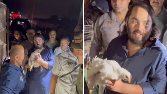 The video showed Mukesh Ambani's son Anant Ambani saving hens from cages.