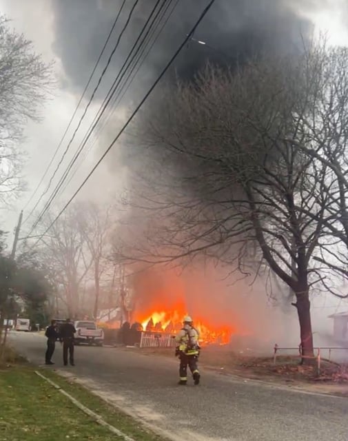 A fire at a cat sanctuary in the hamlet of Medford on Long Island in New York claimed the owner's life and killed at least 100 cats on March 31, 2025.
