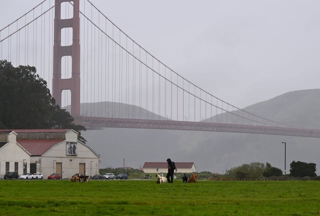 A man’s body was found with a gunshot wound through the eye on Nov. 12, 2023, in Crissy Field, San Francisco. 