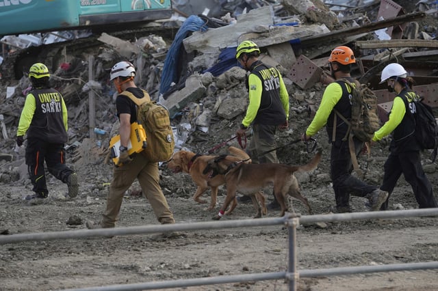 Rescuers work with sniffer dogs at the site of an under-construction high-rise building that collapsed on Friday after an earthquake in Bangkok, Thailand, Saturday, March 29, 2025. (AP Photo/Manish Swarup)