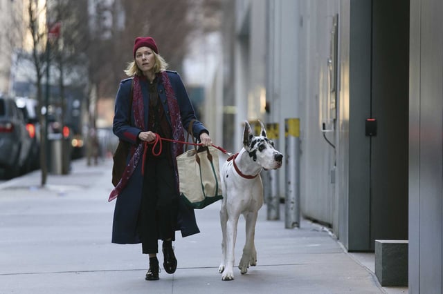 Naomi Watts in a scene from “The Friend.” 
