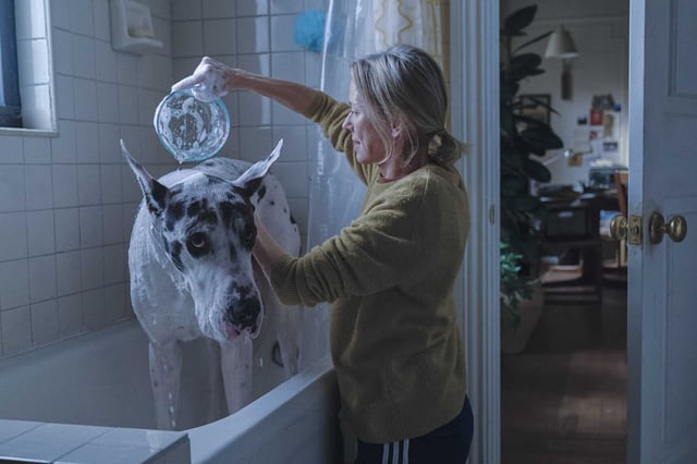 Naomi Watts in a scene from “The Friend.” 