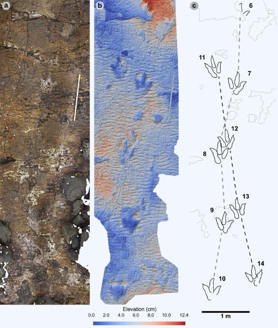 A 167-million-year-old dinosaur trackway at Prince Charles’s Point on the Isle of Skye. Image credit: Blakesley et al., doi: 10.1371/journal.pone.0319862.