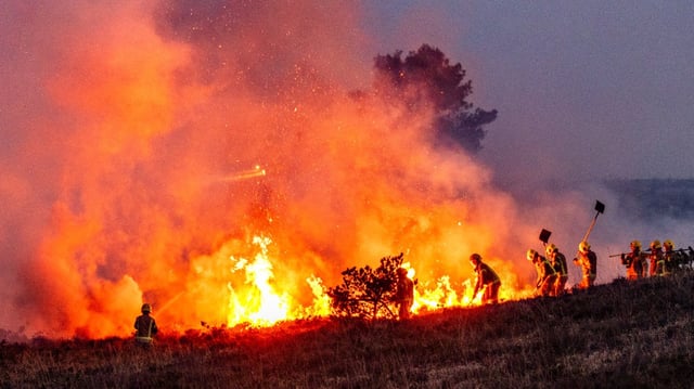 The fire service said multiple crews were at the fire at Canford Heath