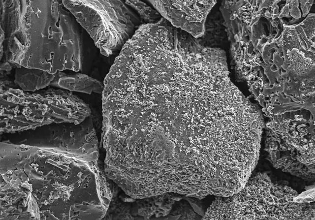 SEM image of activated carbon.