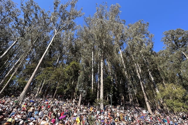 FILE: The crowd during Chaka Khan’s set at the Stern Grove season finale on Aug. 25, 2024.