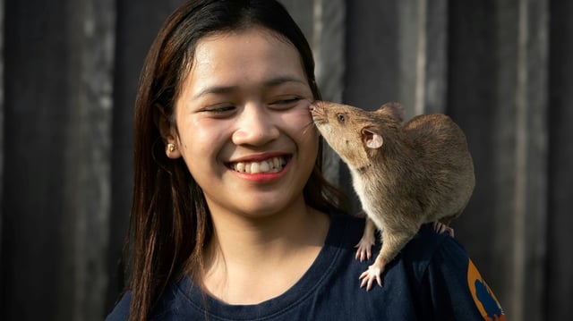 'He's not just an asset, he's a valued partner and colleague,' Phanny, Ronin's handler, said
