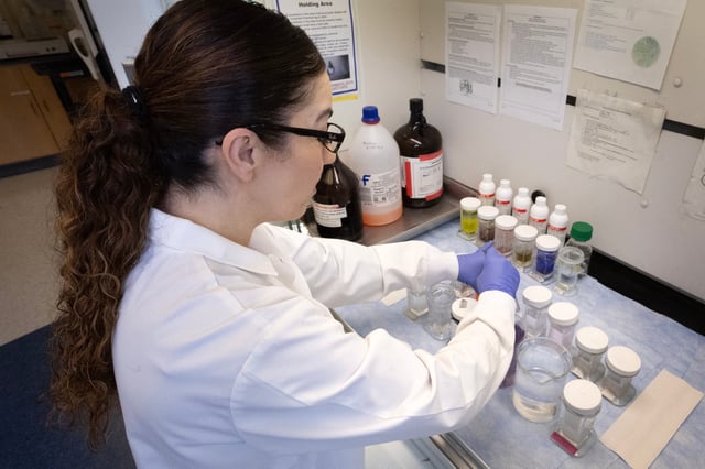 Rita Roberts does research on skin wound healing in a lab in the Department of Kinesiology and Nutrition at the University of Illinois Chicago on March 5, 2025 in Chicago, Illinois. Researchers at universities around the country, who rely on federal grants from the National Institutes of Health to fund their research, are concerned about the future of their projects after the Trump administration cut funding for indirect costs that help universities to operate the research labs.