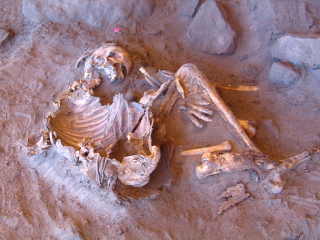 A 7,000-year-old natural mummy of a female found at the Takarkori rock shelter in southwestern Libya is seen in this handout photo released on April 2, 2025. Archaeological Mission in the Sahara, Sapienza University of Rome/Handout via REUTERS THIS IMAGE HAS BEEN SUPPLIED BY A THIRD PARTY NO RESALES. NO ARCHIVES