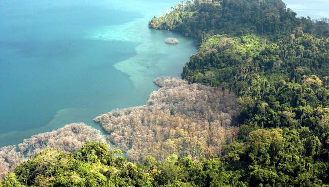 This view from the air shows coastal vegetation (grey-white) on Katchal Island, part of the Andaman and Nicobar Islands where North Sentinel Island is located.