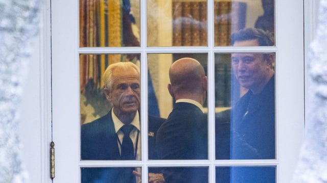 Elon Musk and Peter Navarro in the Oval Office. Photo: ROBERTO SCHMIDT/AFP via Getty Images)