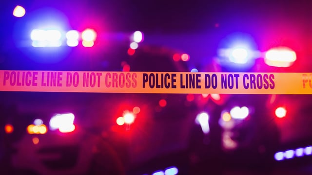 The police have registered an FIR under sections 289. (Representational)