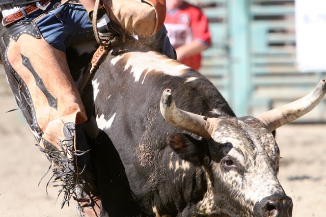 Professional bull rider and &#34;talented&#34; Wyoming athlete Dylan Grant, 24, died while competing in the Wharton County Youth Fair’s PRCA Xtreme Bulls event Thursday night. According to a statement from the PRCA, Grant was injured in the second round of the competition &#34;after being bucked off by a bull in the arena.&#34;