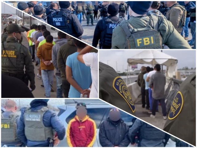 Illegal Aliens Removed from United States by Border Patrol and ICE (U.S. Government)
