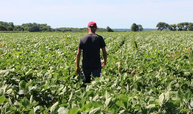 Les agriculteurs américains redoutent les conséquences de la guerre commerciale