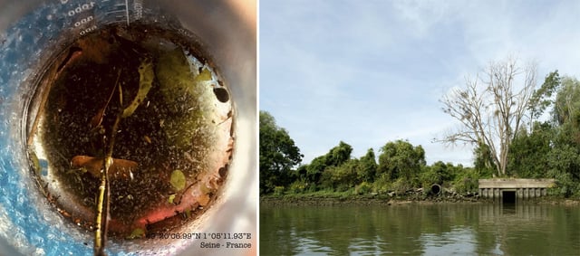 Echantillon de plastique collecté dans la Seine en 2019 par les chercheurs de l'étude de la fondation Tara Océan.