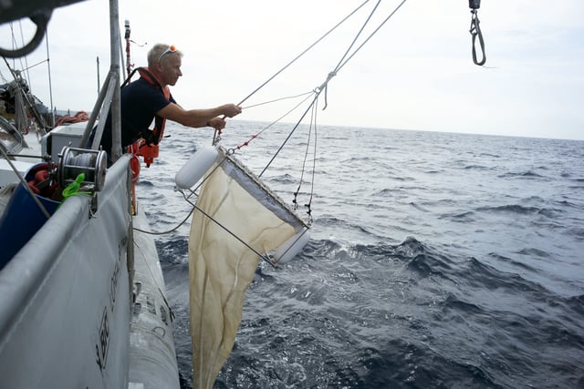 Jean-François Ghiglione, directeur scientifique du programme de recherche, lors de prélèvements dans l’estuaire du Rhône.