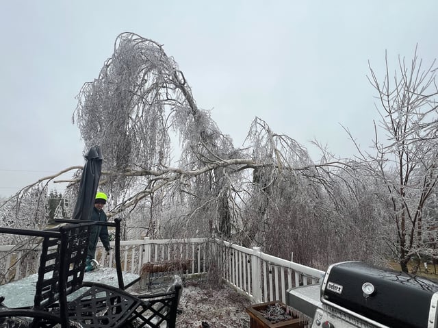 A person stands on a deck as ice covered trees branches are shown in Meaford, Ontario on Sunday March 30, 2025. THE CANADIAN PRESS/HO-Becky Holvik