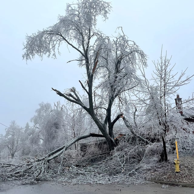 A broken tree limb lies blocking a road after an ice storm in Barrie, Ontario, Canada March 30, 2025.   REUTERS/Deepa Babington