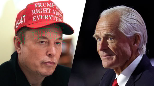 Elon Musk et Peter Navarro.