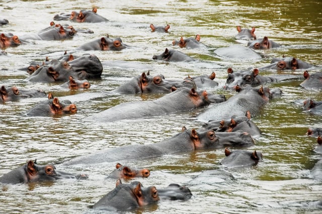 © Alberto Loyo via Shutterstock