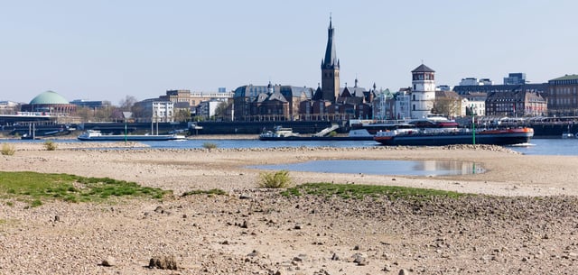 Am Rhein in Oberkassel sind die Pegel bereits sehr niedrig