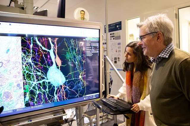 Researchers R. Clay Reid and Leila Elabbady examine data from the MICrONS project at an Allen Institute laboratory in Seattle, U.S., in this photograph released on April 9, 2025. Allen Institute/Handout via REUTERS THIS IMAGE HAS BEEN SUPPLIED BY A THIRD PARTY. NO RESALES. NO ARCHIVES