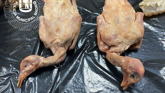 Jin Gu in the Spanish capital is suspected of serious food safety breaches