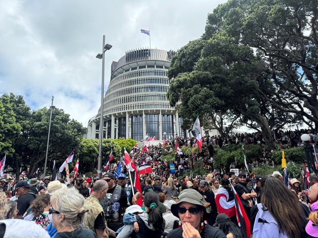 People march to the parliament in protest of the Treaty Principles Bill, in Wellington, New Zealand, November 19, 2024. REUTERS/Lucy Craymer/File Photo