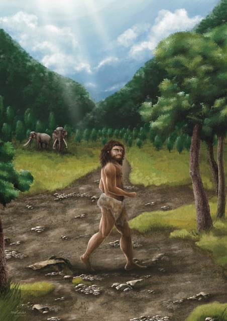 The life reconstruction of a robust male Denisovan, an extinct archaic human, walking under the bright sun of Taiwan, is seen in this illustration obtained by Reuters on April 10, 2025.  Cheng-Han Sun/Handout via REUTERS    THIS IMAGE HAS BEEN SUPPLIED BY A THIRD PARTY.  NO RESALES. NO ARCHIVES.