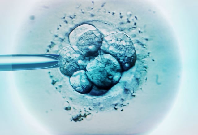 Monash IVF has not named the couples involved, nor has it responded to questions about when the baby was born, or who has custody of the child.