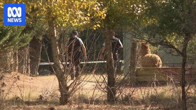 NSW Police officers scour a property on Fernleigh Close, Windellama after a boy was accidentally shot