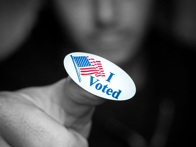 I Voted sticker