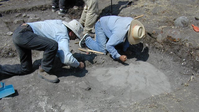 Archeologists analyzed a dataset of over 50,000 homes across history and location.