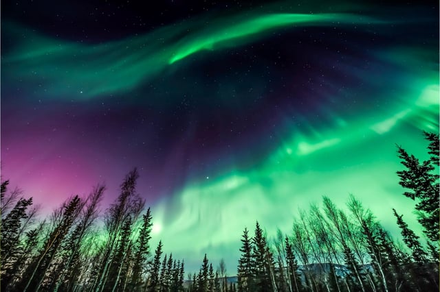 Pictured: Stock image of the Aurora Borealis over Fairbanks, Alaska.